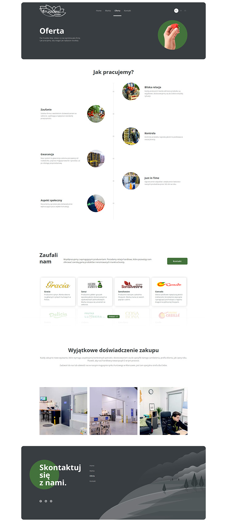 Webdesign - Fruvidex, offer