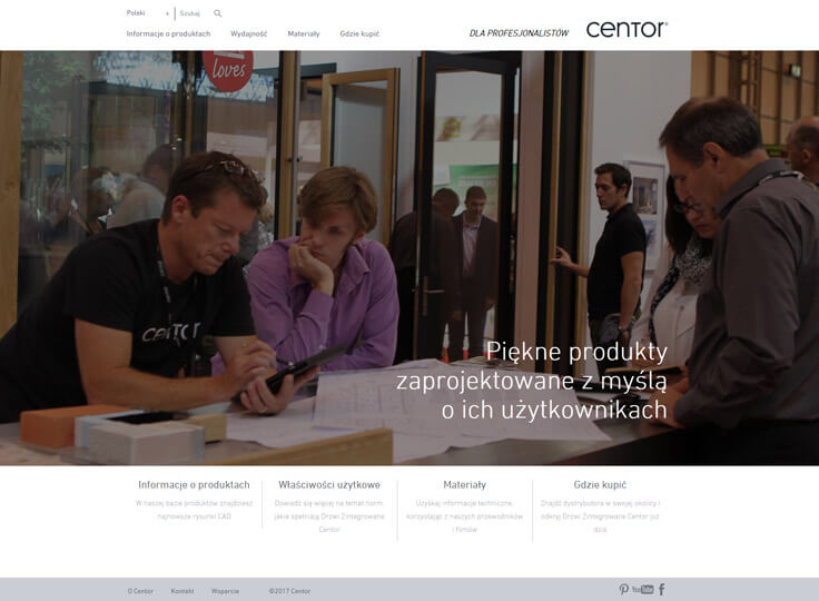 projektowanie-stron-www-Centor-dla-profesjonalistow