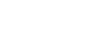 bdm logo hover