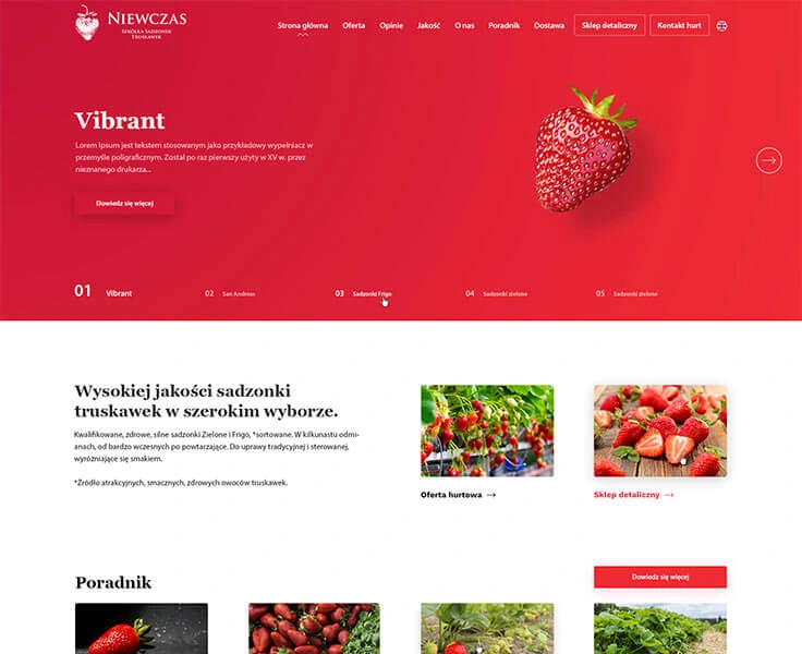 Niewczas — nursery homepage design